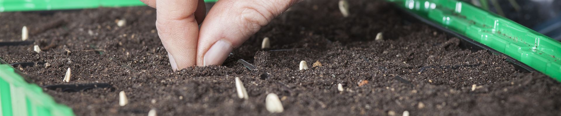 GS471912.jpg GS471912.jpg