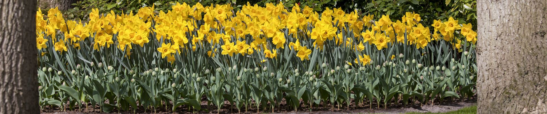 GS514600.jpg GS514600.jpg