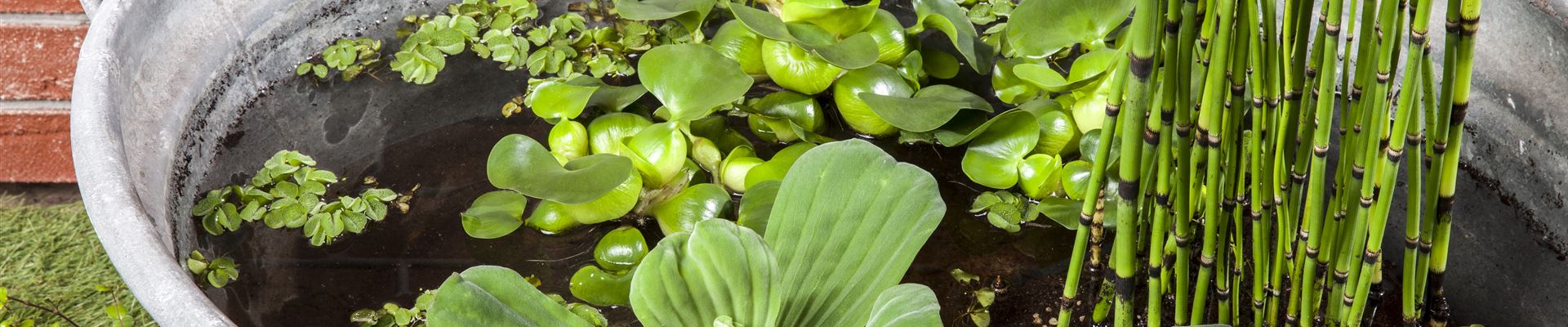 GS475776.jpg GS475776.jpg