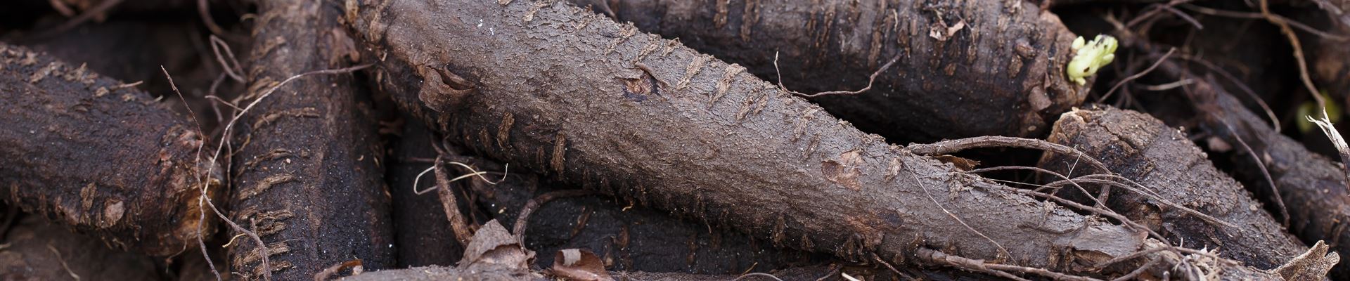 GS590998.jpg GS590998.jpg