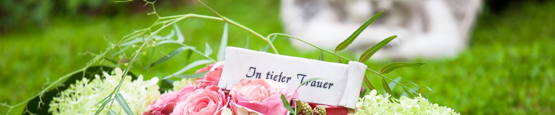 GS501996.jpg GS501996.jpg